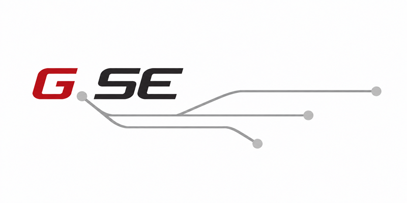 GSE